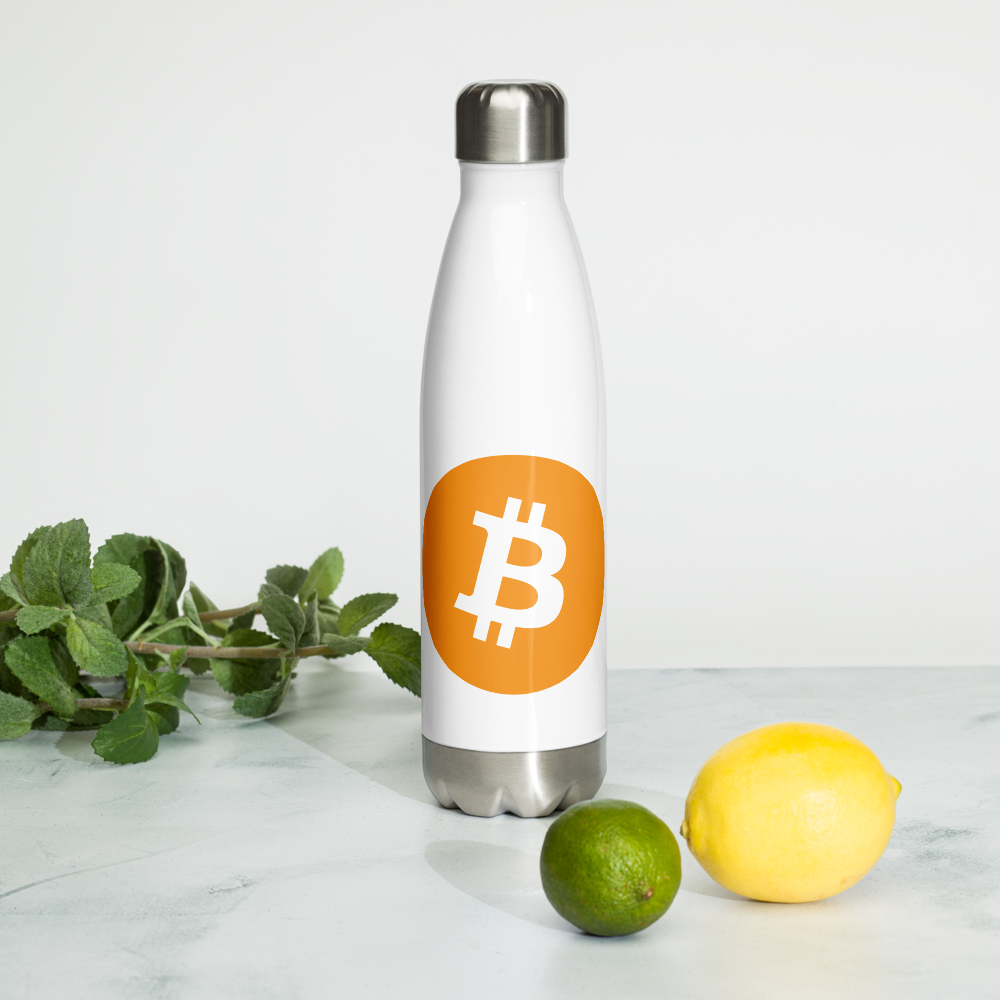 Stainless Steel Water Bottle - BTC